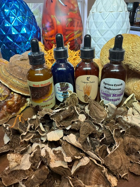 How to Take Mushroom Tinctures & Extracts: A Natural Supplement Guide Spruce Creek Mushrooms