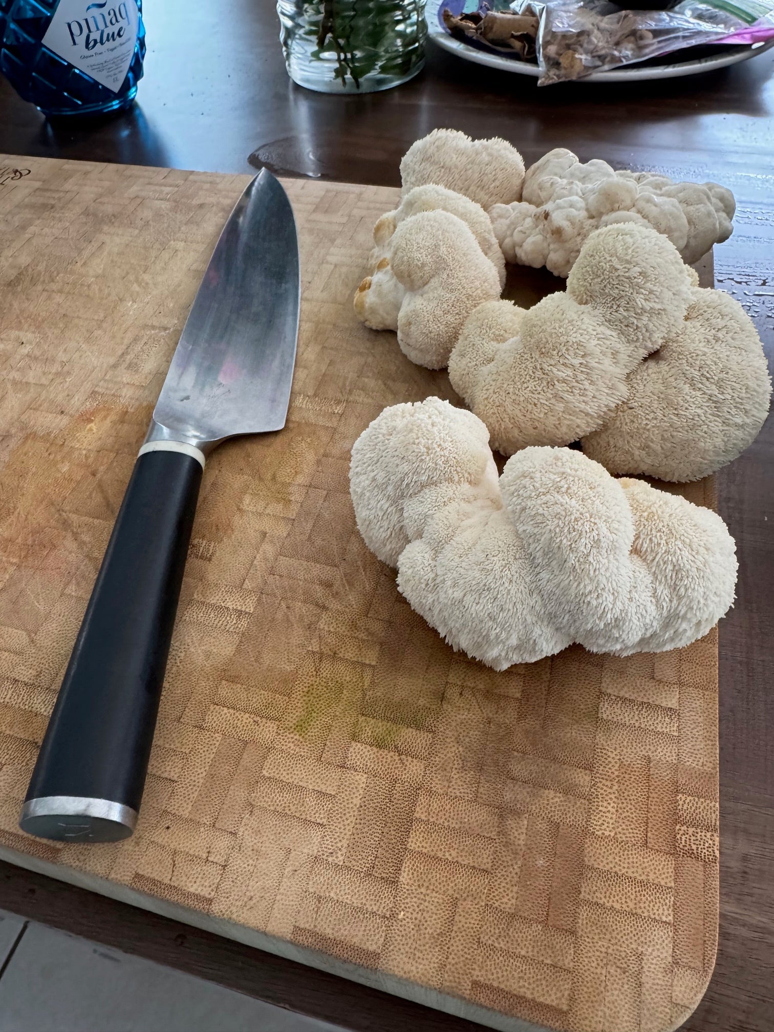 Welcome to the World of Fungi!