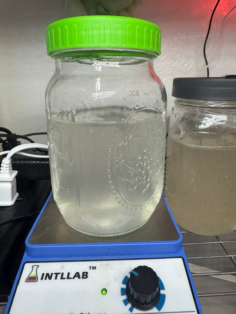 Liquid Culture