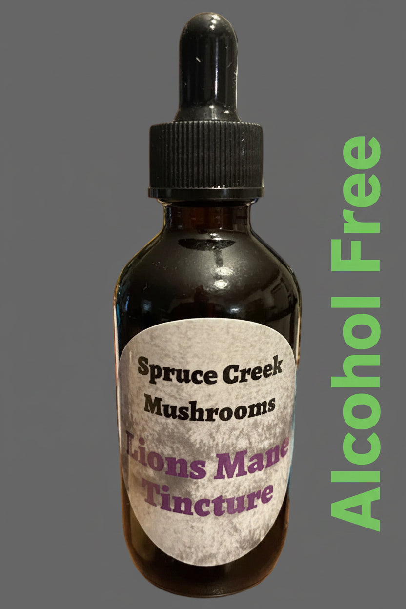 Premium Alcohol-Free Lion's Mane Dual Extraction Tincture