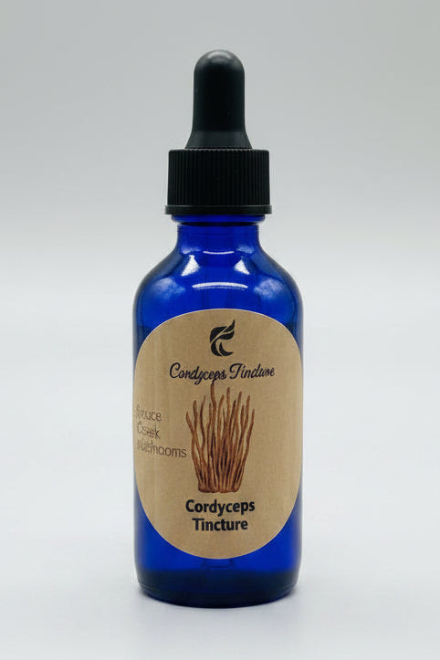 Cordyceps Premium Tincture