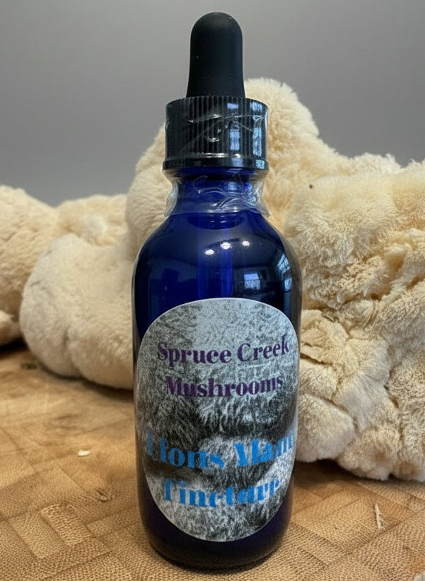 Lion’s Mane Dual Extraction Tincture – Premium Quality
