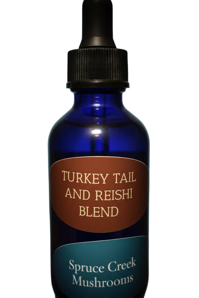 Reishi & Turkey Tail Mushroom Tincture – Dual Extraction Spruce Creek Mushrooms