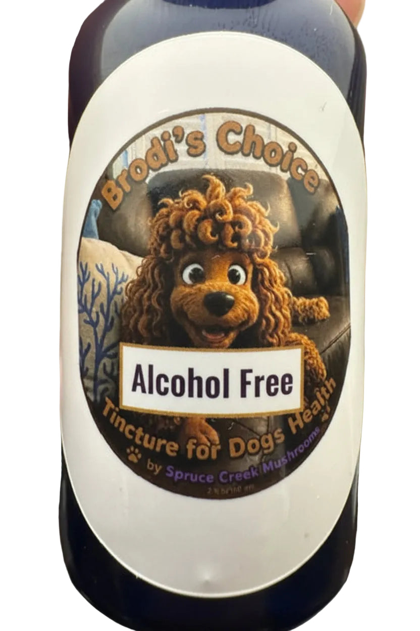 Alcohol-Free Dog Mushroom Tincture – Reishi & Turkey Tail Spruce Creek Mushrooms