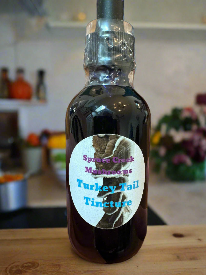 Turkey Tail Dual Extraction Tincture - Premium Quality