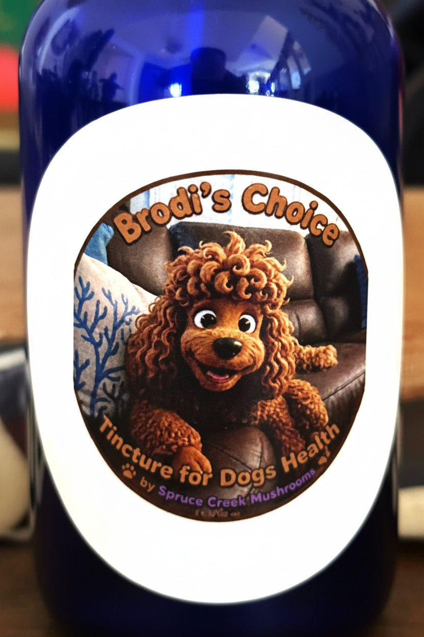 Dog Mushroom Tincture – Reishi & Turkey Tail Spruce Creek Mushrooms