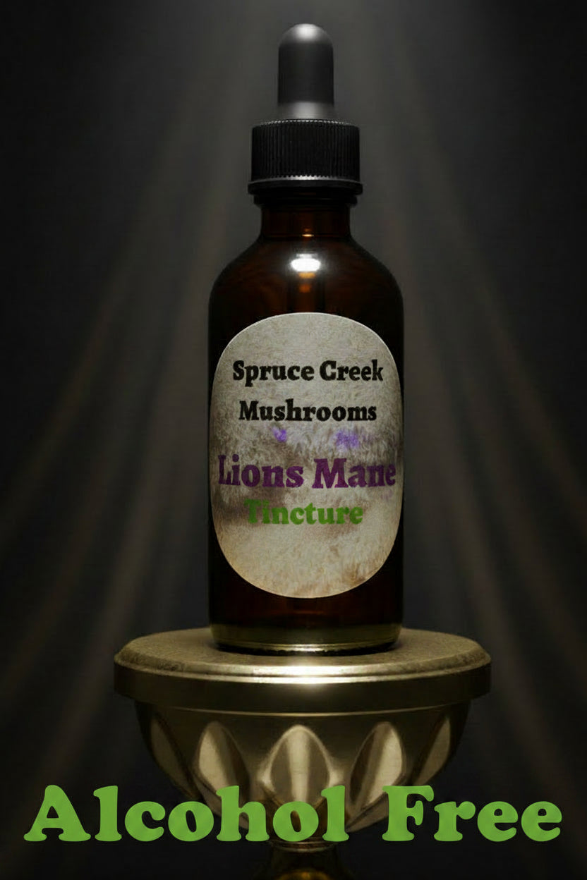 Premium Alcohol-Free Lion's Mane Dual Extraction Tincture